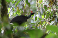 Reserva Los Tarrales